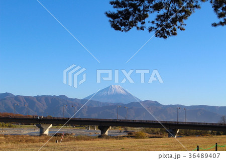 【山梨県】富士山と信玄橋・松 【山梨県】富士山と信玄橋・松 36489407