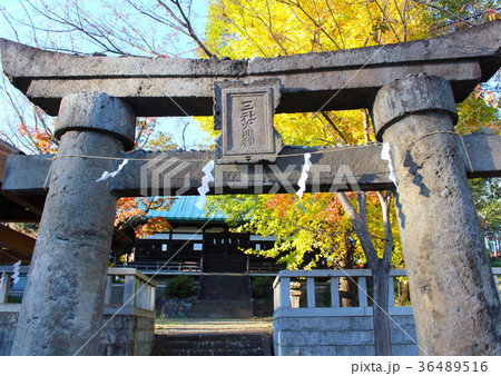 【山梨県】三社神社と鳥居 【山梨県】三社神社と鳥居 36489516
