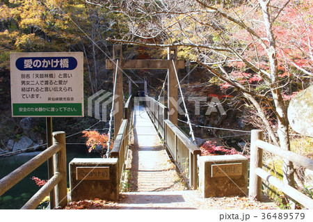 【山梨県】昇仙峡・「愛のかけ橋」 36489579