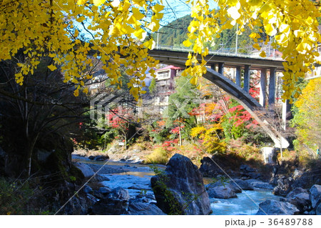 【東京都】紅葉の御岳大橋 【東京都】紅葉の御岳大橋 36489788