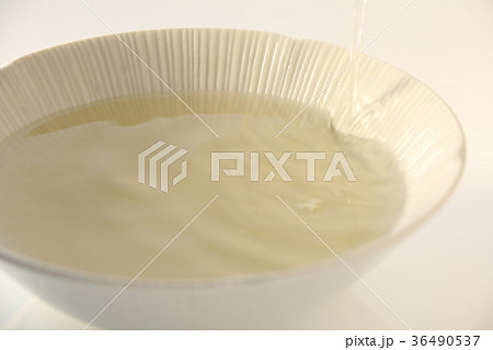 鶏がらスープ 36490537