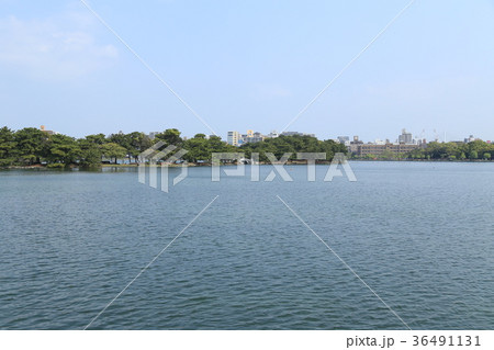 大濠公園でお散歩 36491131