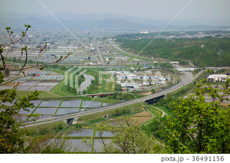 北海道　旭川市　田園風景 36491156