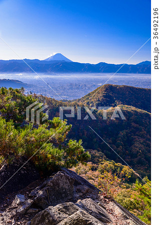 【山梨県】紅葉の和田峠から富士山と甲府盆地を望む 36492196