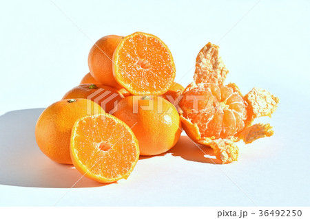 山北みかん 36492250