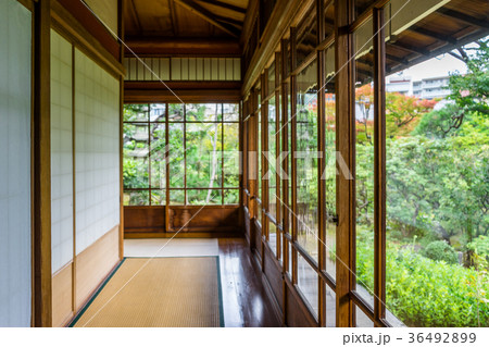 起雲閣　和室の廊下 36492899