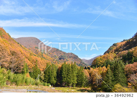 角間渓谷の紅葉 36492962