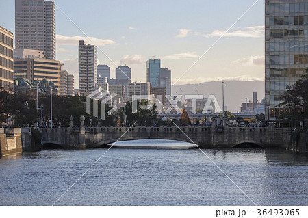 淀屋橋 36493065