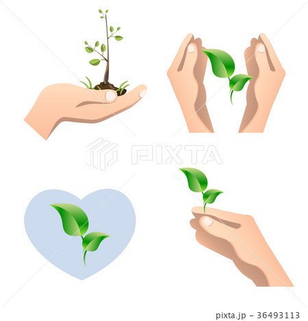 Hands holding plant green concept ecological 36493113
