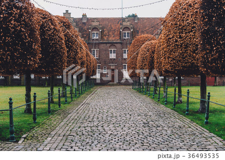 Saint Elisabeth Beguinage in Gent Saint Elisabeth Beguinage in Gent 36493535