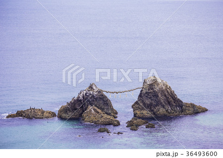 福岡県 糸島市  二見ヶ浦の海と夫婦岩 36493600