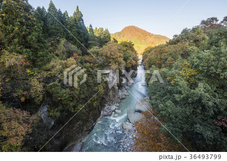 手取峡谷の朝 36493799