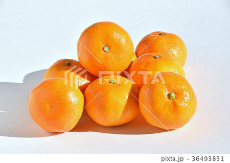 山北みかん 36493831