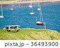 山から見える海 36493900