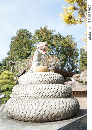 弁財天 白蛇 白蛇弁財天の聖地－東京から岩国へ