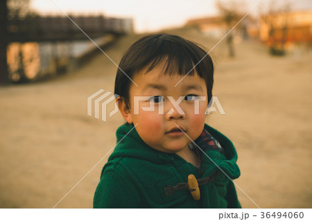 2 years old 2 years old 36494060