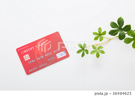 クレジットカード 36494625