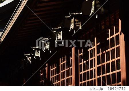 神社・灯篭 神社・灯篭 36494752