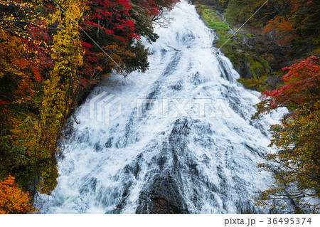 紅葉見頃 湯滝の紅葉 湯の湖 の写真素材