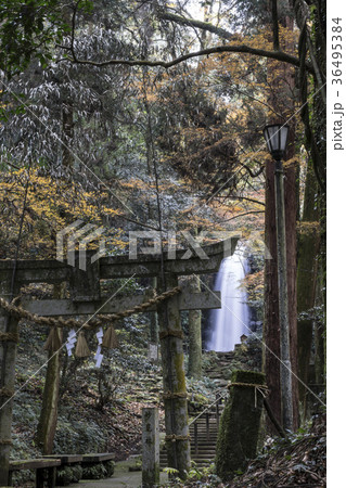 白糸の滝 白糸の滝 36495384