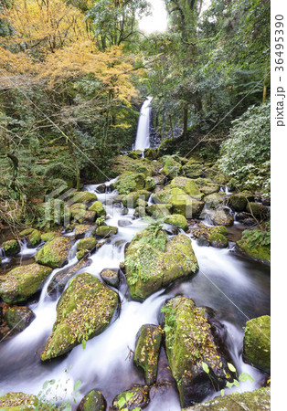 白糸の滝 白糸の滝 36495390