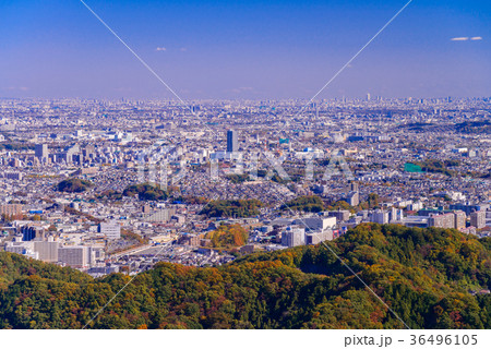 紅葉した高尾山から見る、東京方面の街並み 紅葉した高尾山から見る、東京方面の街並み 36496105