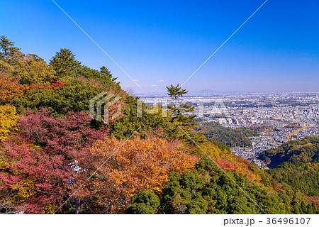 紅葉した高尾山から見る、東京方面の街並み 36496107