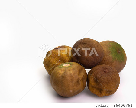 .Closeup Lemon rot 36496761