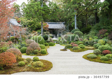 龍潭寺庭園（本堂から仁王門を見る） 36497799