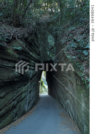 燈籠坂大師の切通しトンネル(富津市) 36498041