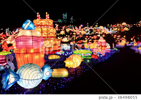 伊豆ぐらんぱる公園　グランイルミ 36498055