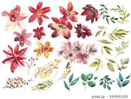 Watercolor floral set. Colorful purple floral Watercolor floral set. Colorful purple floral 36499189