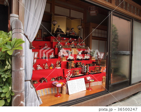 高取町の雛めぐり 36500247