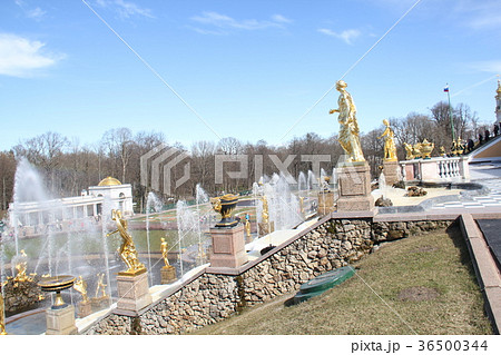 ピョートル大帝噴水の庭 36500344