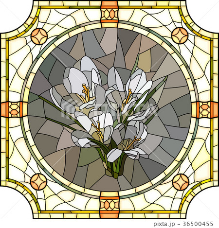Vector illustration of flower crocus. Vector illustration of flower crocus. 36500455