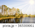 Dutch landscape with lake 36500661