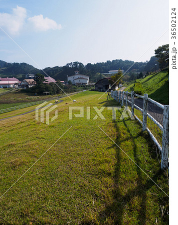 丹後天橋立大江山国定公園にある碇高原　動物と触れ合える高原リゾート 36502124