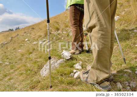 Young hikers walking with trekking poles Young hikers walking with trekking poles 36502334