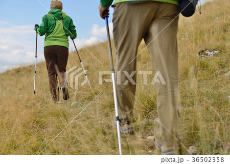 Young hikers walking with trekking poles Young hikers walking with trekking poles 36502358
