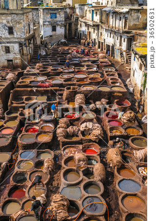 Tannery in Fez, Morocco 36502631