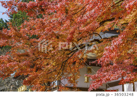 滋賀県 ユネスコ 世界遺産 36503248