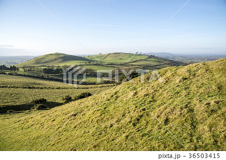 アイルランド 草原 丘 アイルランド 草原 丘 36503415