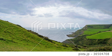 Panoramic view of Jurassic Coast Panoramic view of Jurassic Coast 36504708