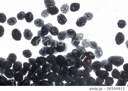 黒豆を茹でる 黒豆を茹でる 36504913