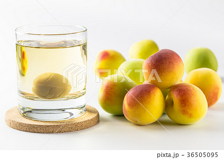 梅酒と南高梅 梅酒と南高梅 36505095