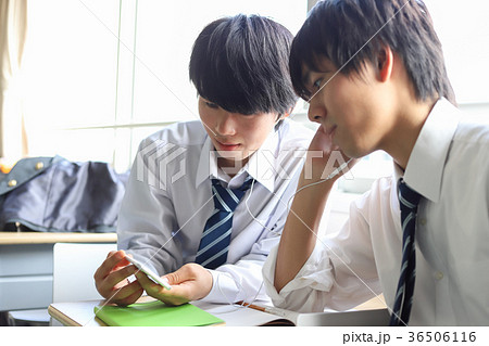 男子生徒 36506116