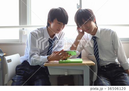 男子生徒 36506120