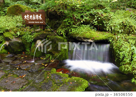 大雪旭岳源水 大雪旭岳源水 36506550