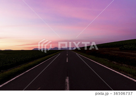 朝日に照らされる道路 朝日に照らされる道路 36506737