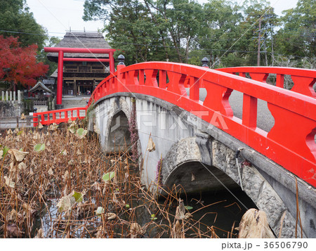 青井阿蘇神社 36506790